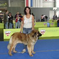 Salzburg Clubschau Mai 06 030 